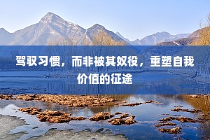 驾驭习惯，而非被其奴役，重塑自我价值的征途