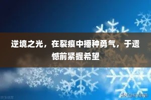 逆境之光，在裂痕中播种勇气，于遗憾前紧握希望
