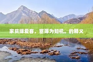 家贫缘爱客，宦薄为知机。的释义