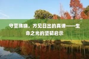 守至拂晓，方见日出的真谛——生命之光的坚韧启示