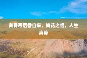 彻骨寒后香自来，梅花之悟，人生真谛