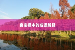 良禽择木的成语解释