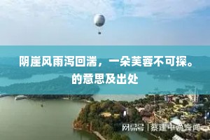 阴崖风雨泻回湍，一朵芙蓉不可探。的意思及出处