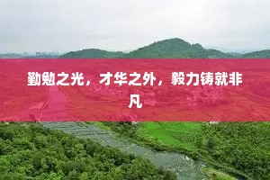 勤勉之光，才华之外，毅力铸就非凡