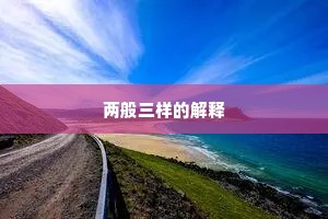 两般三样的解释