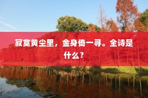 寂寞黄尘里，金身倚一寻。全诗是什么？