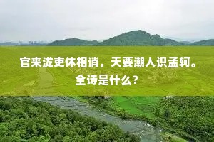 官来泷吏休相诮，天要潮人识孟轲。全诗是什么？