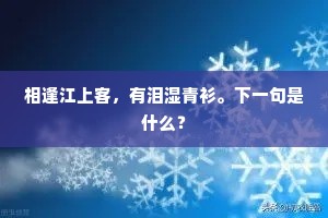 相逢江上客，有泪湿青衫。下一句是什么？