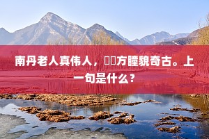 南丹老人真伟人，烱烱方瞳貌奇古。上一句是什么？