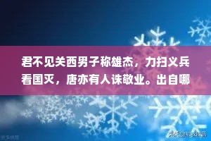君不见关西男子称雄杰，力扫义兵看国灭，唐亦有人诛敬业。出自哪首诗？