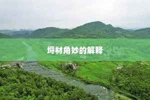 埒材角妙的解释