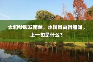 太和琴暖发南薰，水阔风高得细闻。上一句是什么？