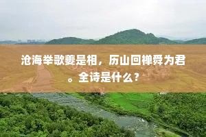 沧海举歌夔是相，历山回禅舜为君。全诗是什么？
