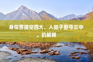 身似菩提空四大，人如子野号三中。的解释
