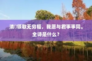 清閒领取无穷福，我愿与君事事同。全诗是什么？