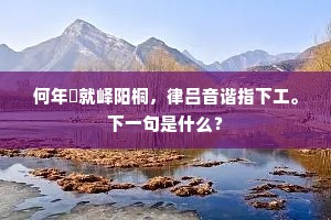 何年斲就峄阳桐，律吕音谐指下工。下一句是什么？