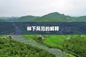 林下风范的解释