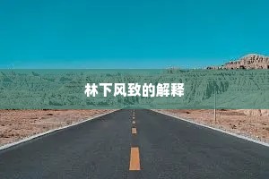 林下风致的解释