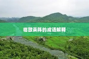 临敌卖阵的成语解释