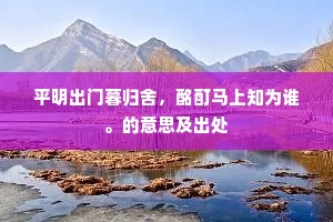 平明出门暮归舍，酩酊马上知为谁。的意思及出处