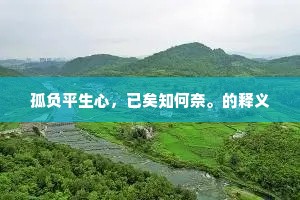 孤负平生心，已矣知何奈。的释义