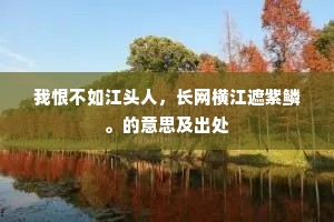 我恨不如江头人，长网横江遮紫鳞。的意思及出处
