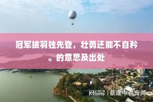 冠军披羽独先登，壮勇还能不自矜。的意思及出处