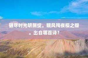 碾尽时光明屑绽。眠风殉夜樱之瓣。出自哪首诗？