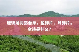 琉璃尾羽露吾身，星碎片、月碎片。全诗是什么？