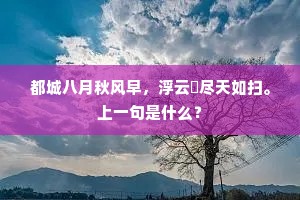都城八月秋风早，浮云捲尽天如扫。上一句是什么？