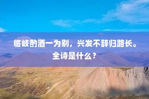 临岐酌酒一为别，兴发不辞归路长。全诗是什么？