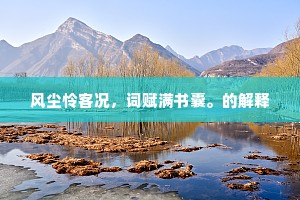 风尘怜客况，词赋满书囊。的解释