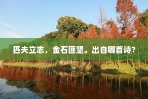匹夫立志，金石匪坚。出自哪首诗？