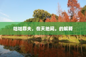 咄咄罪夫，在天地间。的解释