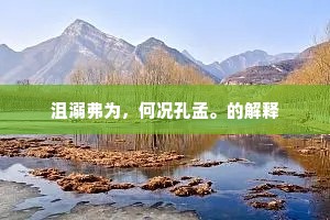 沮溺弗为，何况孔孟。的解释