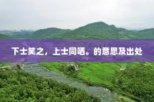 下士笑之，上士同哂。的意思及出处