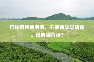 竹林斜月话匆匆，不尽离愁思转蓬。出自哪首诗？