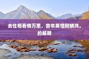 去住相看情万里，音书莫惜附鳞鸿。的解释