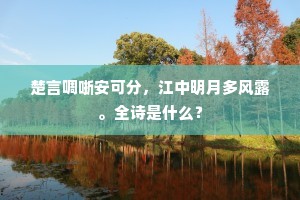 楚言啁哳安可分，江中明月多风露。全诗是什么？