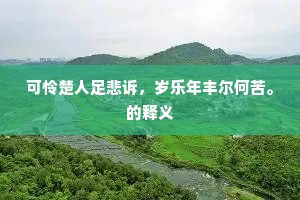 可怜楚人足悲诉，岁乐年丰尔何苦。的释义
