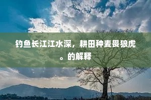 钓鱼长江江水深，耕田种麦畏狼虎。的解释