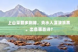上山采薪多荆棘，负水入溪波浪黑。出自哪首诗？