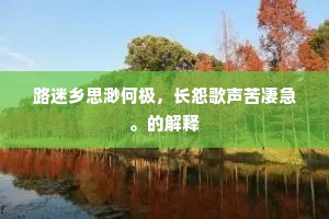路迷乡思渺何极，长怨歌声苦凄急。的解释