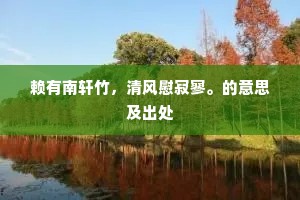 赖有南轩竹，清风慰寂寥。的意思及出处