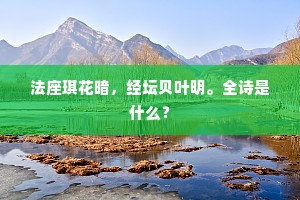 法座琪花暗，经坛贝叶明。全诗是什么？