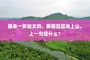 藏身一影如文豹，雾雨层层海上山。上一句是什么？