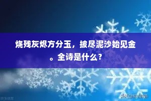 烧残灰烬方分玉，披尽泥沙始见金。全诗是什么？