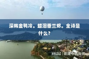 深帏金鸭冷。蜡泪垂兰烬。全诗是什么？
