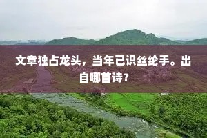 文章独占龙头，当年已识丝纶手。出自哪首诗？