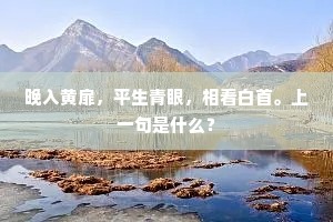 晚入黄扉，平生青眼，相看白首。上一句是什么？